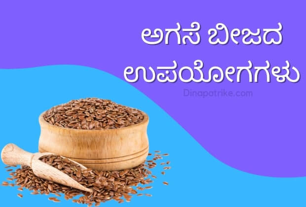 ಅಗಸೆ ಬೀಜದ ಉಪಯೋಗಗಳು | Flax Seeds in Kannada Uses