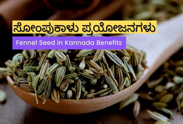 ಸೋಂಪುಕಾಳು ಪ್ರಯೋಜನಗಳು | Fennel Seed in Kannada Benefits
