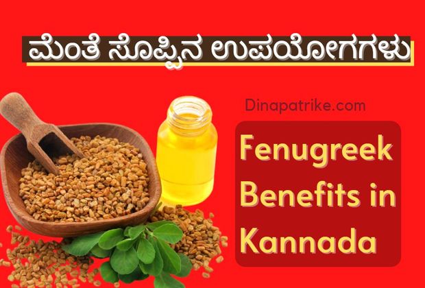 ಮೆಂತೆ ಸೊಪ್ಪಿನ ಉಪಯೋಗಗಳು | Fenugreek Benefits in Kannada