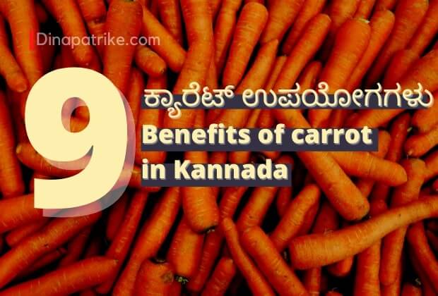 ಕ್ಯಾರೆಟ್ ಉಪಯೋಗಗಳು | 9 Benefits of carrot in Kannada