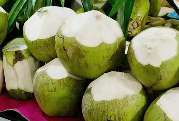 ಎಳೆನೀರು ಕುಡಿಯುವುದರಿಂದ ಆಗುವ 12 ಪ್ರಯೋಜನಗಳು | Coconut Water